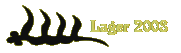 Lager 2008